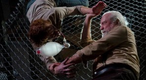 hershel wrestles a walker